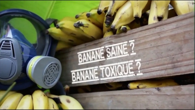 Festival AlimenTerre : Hold up sur la banane Festival AlimenTerre : Hold up sur la banane