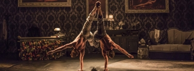 The Elephant in the room - Cirque Le Roux The Elephant in the room - Cirque Le Roux
