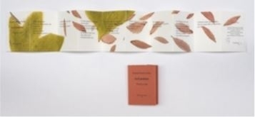 Le Livre d’artiste - Thierry Le Saëc Le Livre d’artiste - Thierry Le Saëc