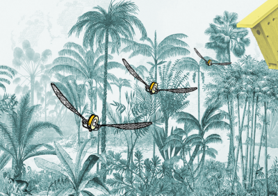 Parcours ornithologique Parcours ornithologique