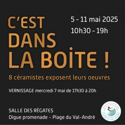 C'est dans la boîte ! C'est dans la boîte !