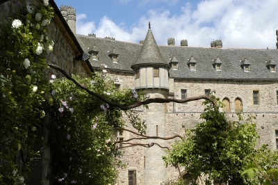 Histoires d'arbres Histoires d'arbres