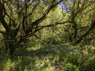 Nature sauvage...? Nature sauvage...?