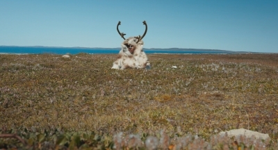 Tia et Piujuq - Lucy Tulugarjuq Tia et Piujuq - Lucy Tulugarjuq