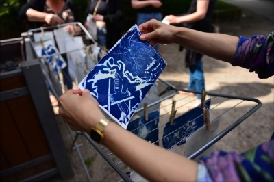 Découverte du Cyanotype : Initiation à la technique sur papiers Découverte du Cyanotype : Initiation à la technique sur papiers
