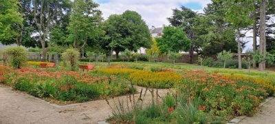 Bain de forêt Bain de forêt