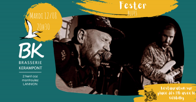 Fester Fester