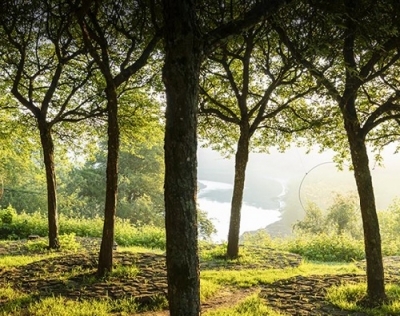 Journées européennes du Matrimoine et du Patrimoine : Visite guidée du parc d Journées européennes du Matrimoine et du Patrimoine : Visite guidée du parc d