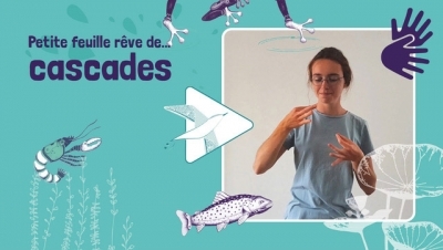 Petite feuille rêve de cascade - Émeline Scroccaro Petite feuille rêve de cascade - Émeline Scroccaro