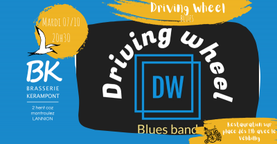 Driving Wheel