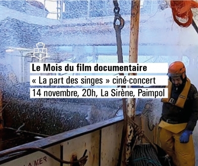 Mois du film documentaire : Marins dans la tempête : La Part des singes