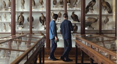 Mois du film documentaire : Langues des oiseaux Mois du film documentaire : Langues des oiseaux