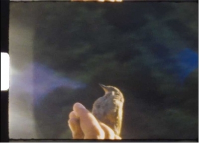 Mois du film documentaire : À vol d'oiseau