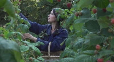 Mois du film documentaire : La Terre du milieu Mois du film documentaire : La Terre du milieu