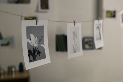 Transfert Polaroïd Transfert Polaroïd