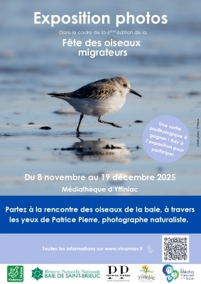 Fête des oiseaux migrateurs Fête des oiseaux migrateurs