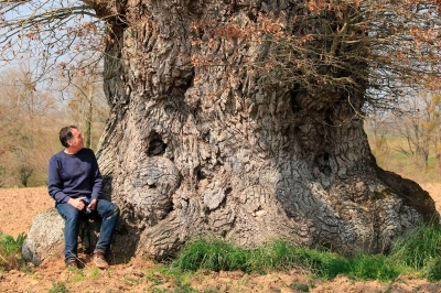 Les arbres sont-ils intelligents ? - Mickaël Jézégou Les arbres sont-ils intelligents ? - Mickaël Jézégou