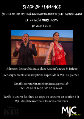 Stage de danse flamenco