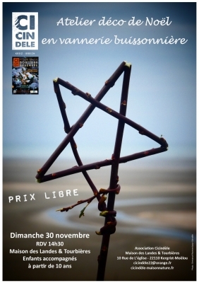 Déco de Noël en vannerie buissonnière