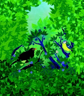 Observons les oiseaux