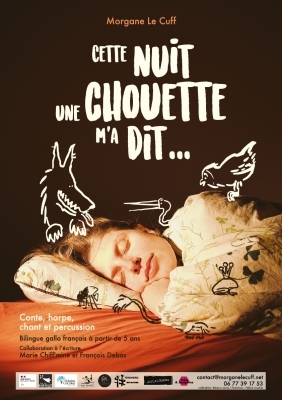 Les Zef et Mer : Cette nuit, une chouette m'a dit