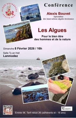 Les Algues bretonnes à l'honneur - Alexis Bouvet