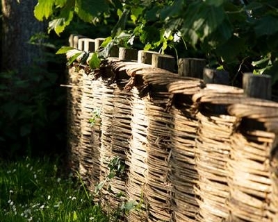 Vannerie : plessage d’osier