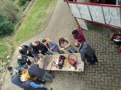 Greffage de pommiers