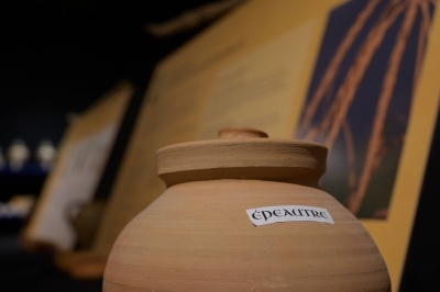 L'Alimentation de la joie selon Hildegarde de Bingen - Adeline Larivière-Le Rhu