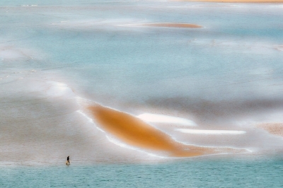 Les solitudes de l'Estran - Francis Bacon