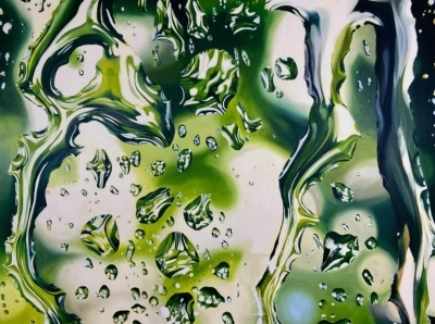 Après l'averse - Lucille Guillier