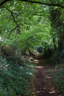La Journée de l'écolier