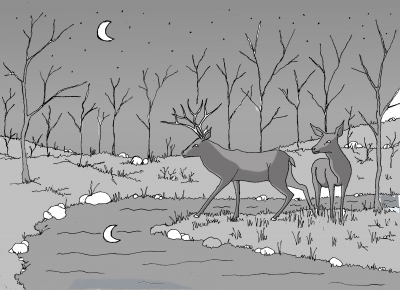 Dessin & infographie