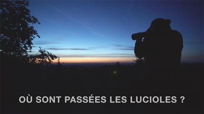 Sortie nocturne et ciné plein air au hameau Saint Antoine