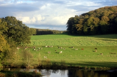 Randonnée guidée agriculture et biodiversité