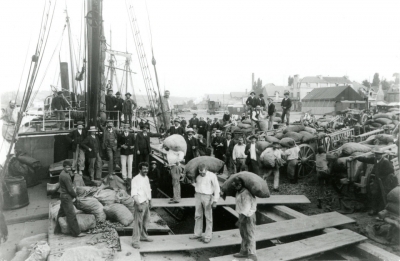 La pomme de terre en Bretagne