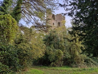 Après-midi récréatif et musical au domaine de la tour de Cesson