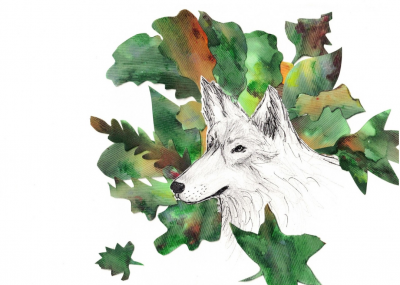 Lyncéus Festival#12 : L'Animalière