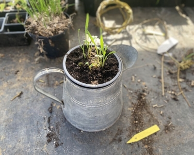 Journée Moutig : Fabrique une boule de graines à planter !