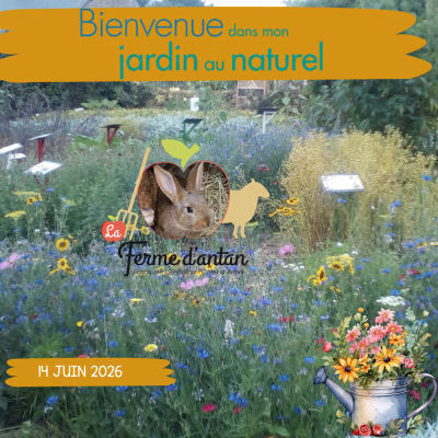 Bienvenue dans mon jardin au naturel