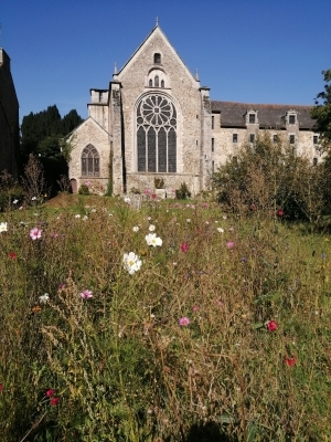 23e Rendez-vous aux jardins
