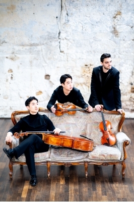 Festival de musique de chambre : Trio Arnold