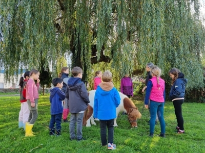 Matinée au Haras
