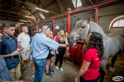 Visite guidée du Haras de Lamballe