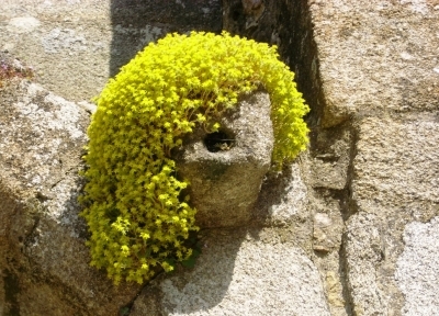 Châtelaudren SENS dessus dessous