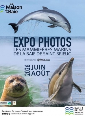 Les Mammifères marins de la Baie de St-Brieuc