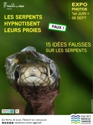 Au Fil des marées