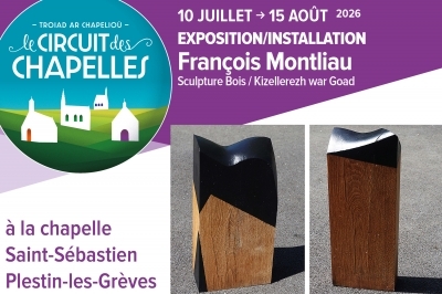 Sculpture bois - François Montliau
