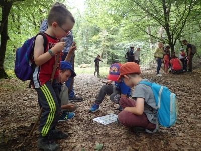 Enquête nature en forêt