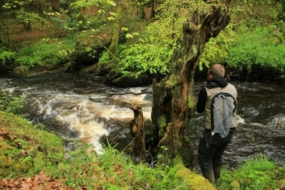 Initiation pêche aux leurres (truite)